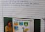be your professional online elementary school tutor