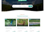 design a premium wordpress website for businesses