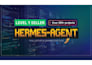 setup custom hermes agents