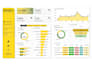 design professional excel dashboards with KPI reports and vba automation
