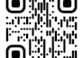 provide professional qr code design services