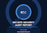 audit your website security and deliver a vulnerability report