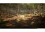 build realistic forest and outdoor environments in ue5