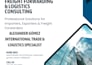provide freight forwarding consulting and shipping solutions