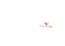 design professional  and vector patterns for laser