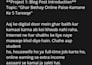write SEO urdu blog posts, article and website content