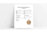 create excel dashboard, attendance tracker and sales report