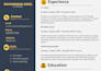 design a premium quality professional CV