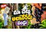 design eye catching youtube thumbnails that boost your click through rate