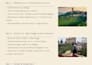 plan your authentic piemonte food and wine experience