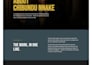build a fast wordpress website with divi theme