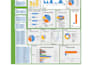 create professional excel mis reports and KPI dashboards