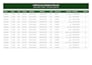 do professional ms word formatting and document creation