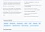 create a responsive and fully functional wordpress website