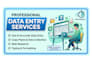 do professional data entry and excel spreadsheet work