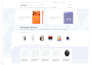 design and develop a professional wordpress website