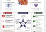 create clinical flowcharts and medical elearning content for educators