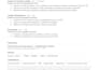 cv profissional ats em portugues e espanhol