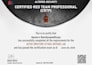 provide professional cybersecurity training