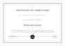 do professional excel and google sheets