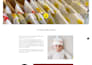 website development with wordpress elementor pro, divi and divi5