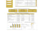 create professional power bi dashboards and automate excel reports
