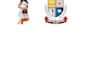remove the background white or transparent png images