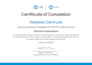 write professional CV resume and cover letter for job