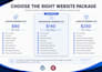 design or redesign a professional wordpress business website