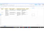 do professional manual website testing