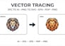 do vector tracing  create a vector trace