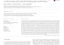 pdf to word conversion and document formatting
