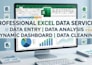 data entry data analysis and can create dynamic dashboards