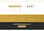 design a professional cod landing page for dropshipping