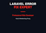 fix bugs and errors in your laravel PHP application