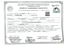 do professional document scanning and data entry in ms word