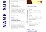 make your resume cool and unique