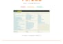 do a professional website SEO audit report and analysis