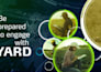 senior motion designer corporate videos
