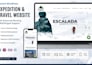 build wordpress responsive site for startups businesses and personal brands