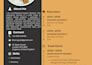 design a modern, professional resume and CV that gets noticed