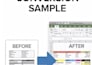 convert PDF to excel data in 24h