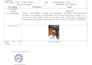 do professional data entry
