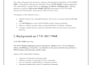 write professional cybersecurity documentation and technical reports