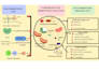 design professional research posters