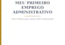 escrever ebooks em portugues com linguagem simples