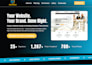 design a premium wordpress website with elementor pro