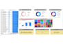 create professional microsoft excel dashboards and reports