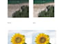 remove background, upscale, and enhance your images