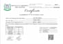 prepare and file US sales tax returns accurately